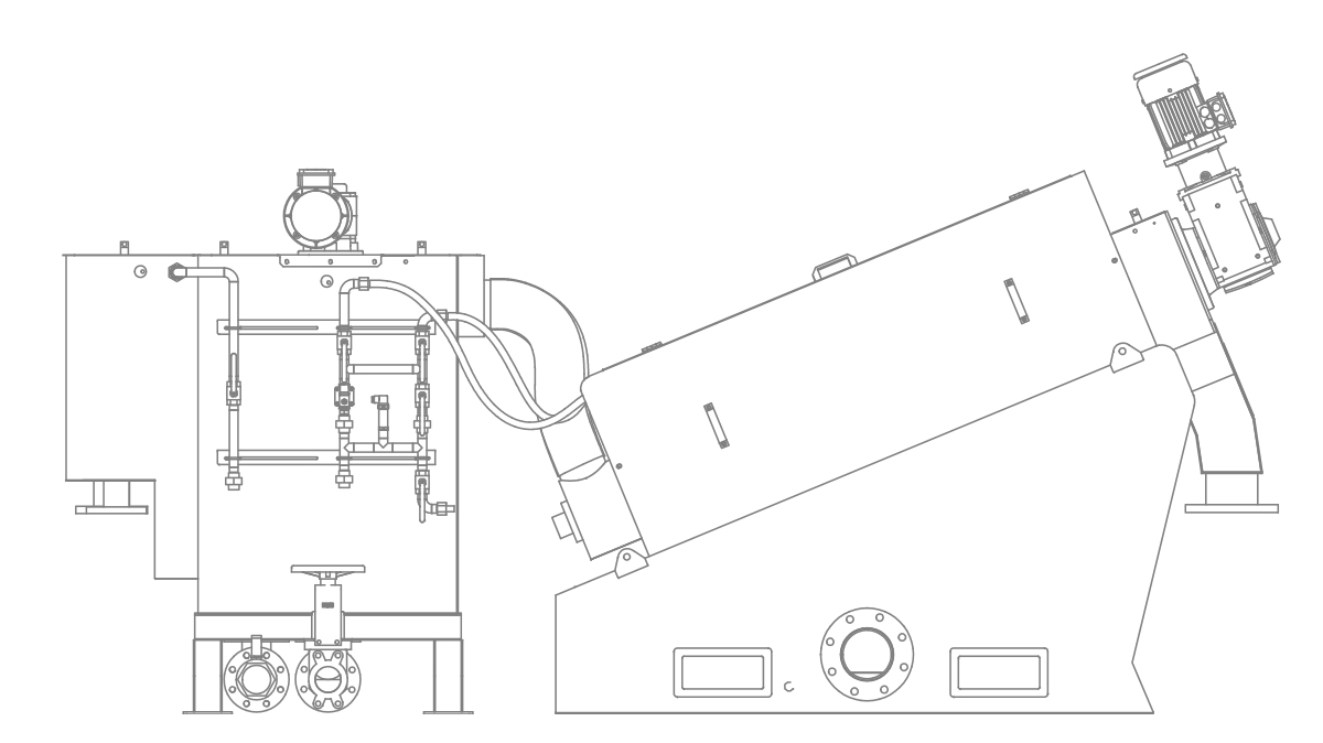 Disegno