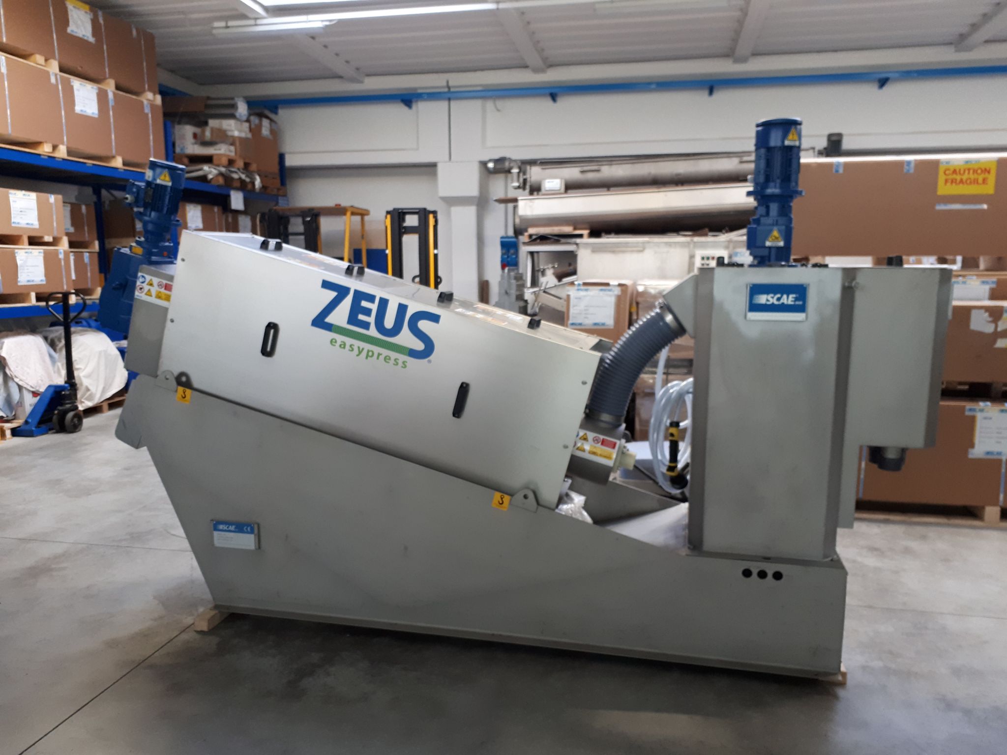 zeus