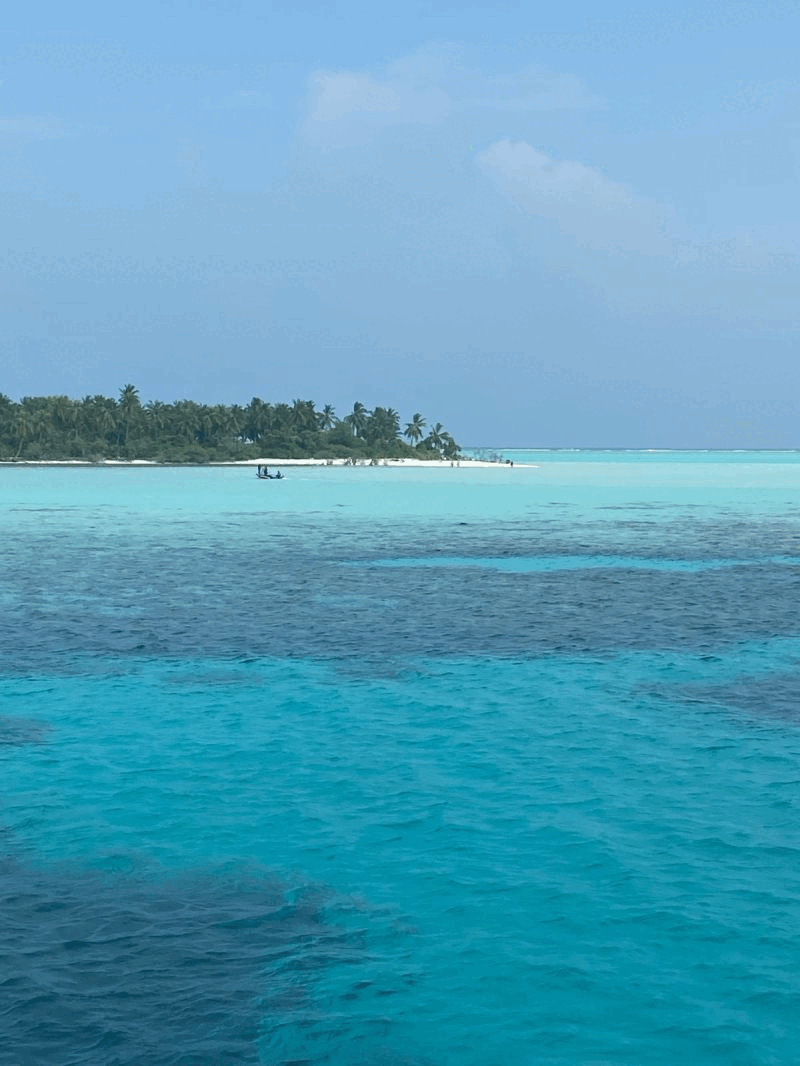 SCAE Maldive